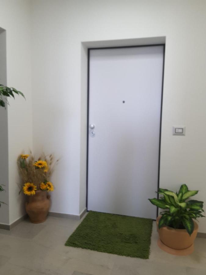 טורינו Lucrece Holiday Apartment מראה חיצוני תמונה